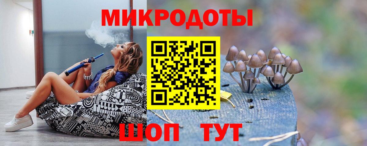 Галлюциногенные грибы Psilocybine cubensis Междуреченск